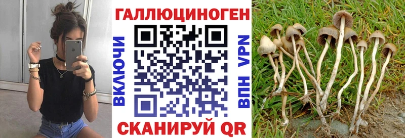 Галлюциногенные грибы Cubensis  Верхоянск 